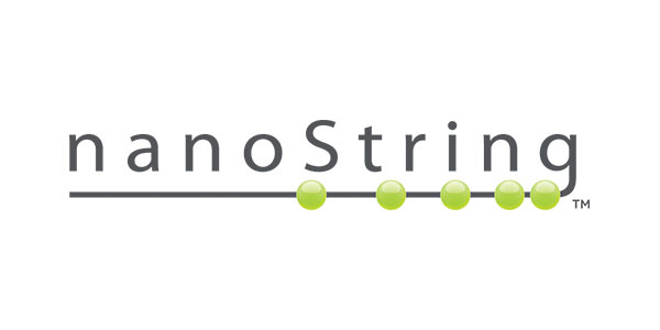 Nano String Logo